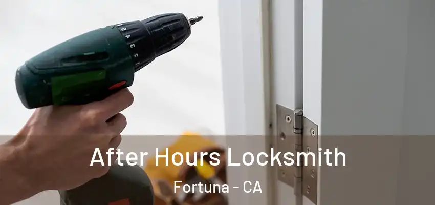  After Hours Locksmith Fortuna - CA