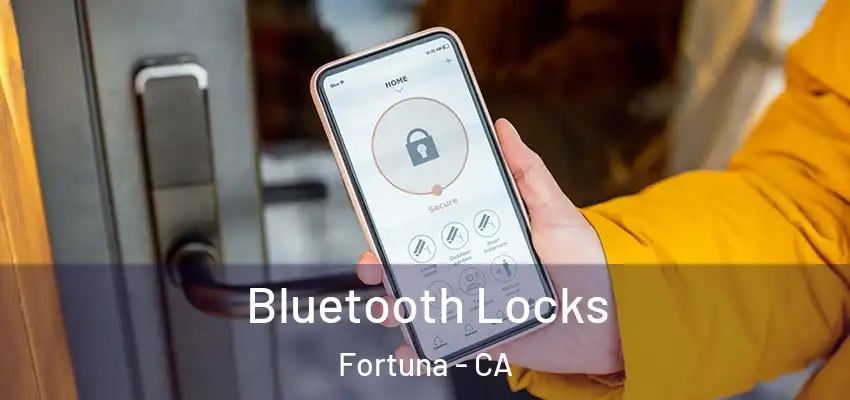  Bluetooth Locks Fortuna - CA