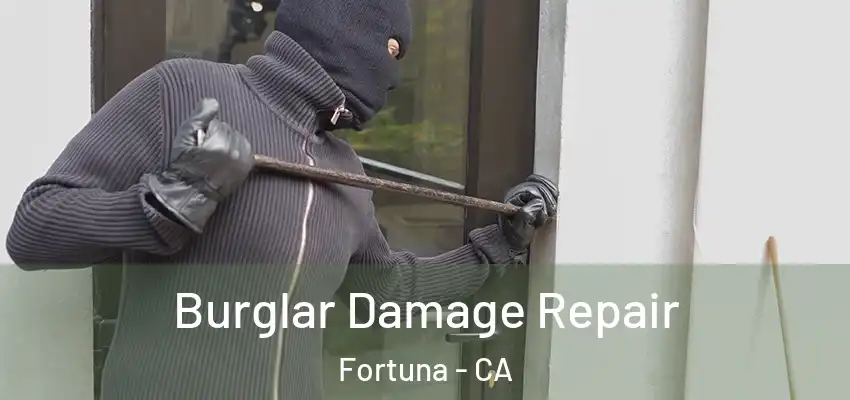  Burglar Damage Repair Fortuna - CA