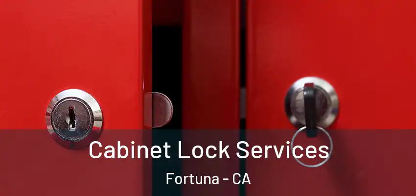  Cabinet Lock Services Fortuna - CA