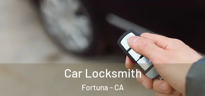  Car Locksmith Fortuna - CA