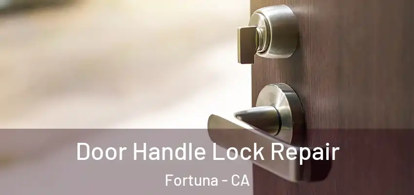  Door Handle Lock Repair Fortuna - CA