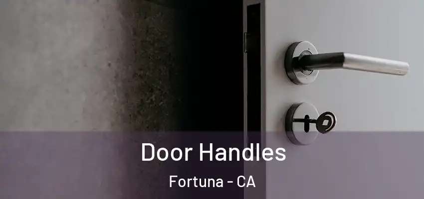  Door Handles Fortuna - CA
