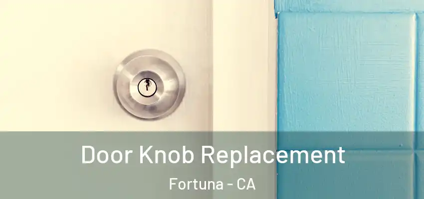  Door Knob Replacement Fortuna - CA
