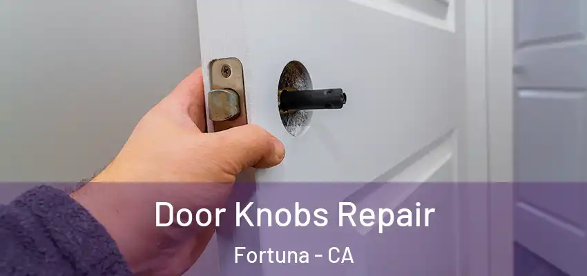  Door Knobs Repair Fortuna - CA