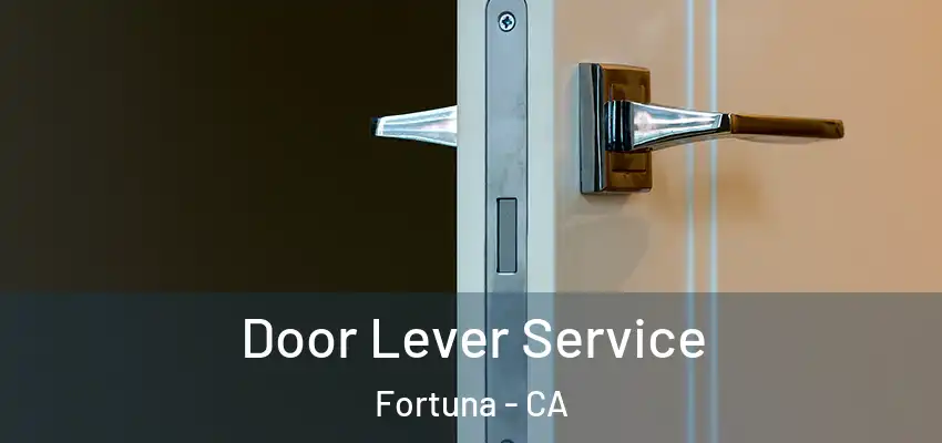  Door Lever Service Fortuna - CA