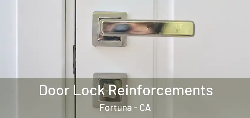  Door Lock Reinforcements Fortuna - CA