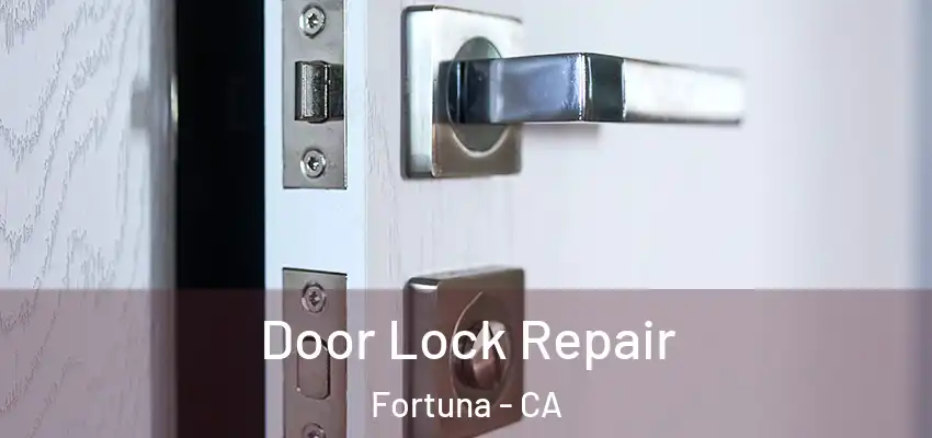  Door Lock Repair Fortuna - CA