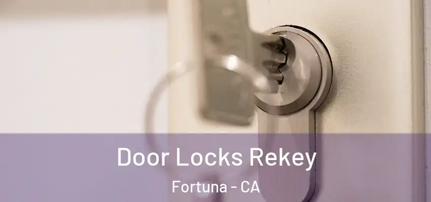  Door Locks Rekey Fortuna - CA