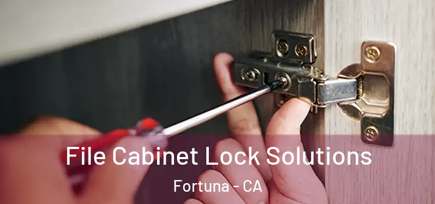 File Cabinet Lock Solutions Fortuna - CA