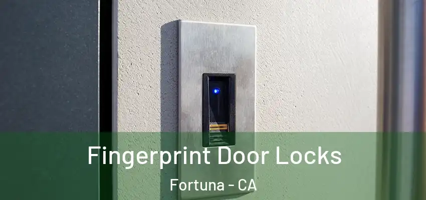  Fingerprint Door Locks Fortuna - CA