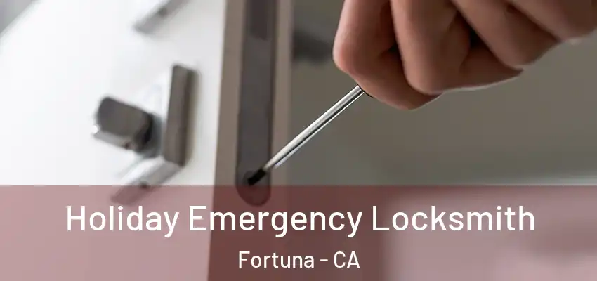  Holiday Emergency Locksmith Fortuna - CA