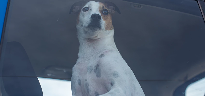 Car Lockout Solutions in Fortuna, California