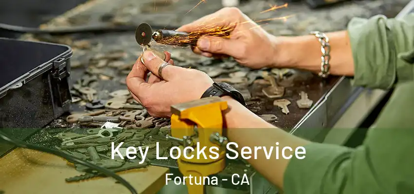  Key Locks Service Fortuna - CA