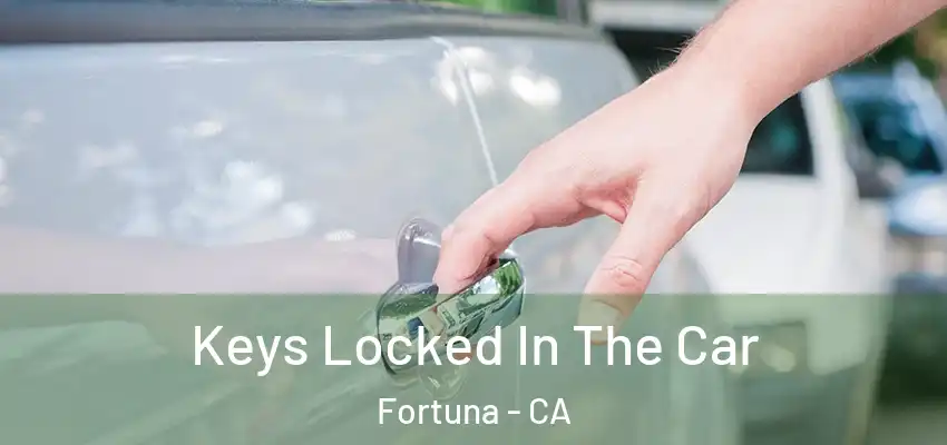  Keys Locked In The Car Fortuna - CA