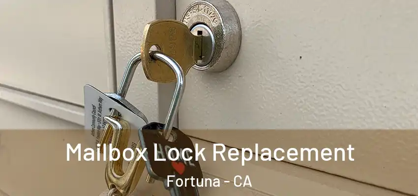  Mailbox Lock Replacement Fortuna - CA