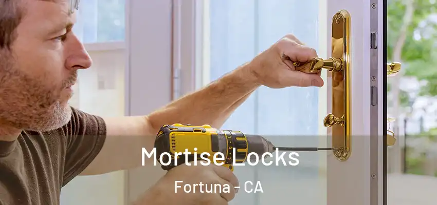  Mortise Locks Fortuna - CA