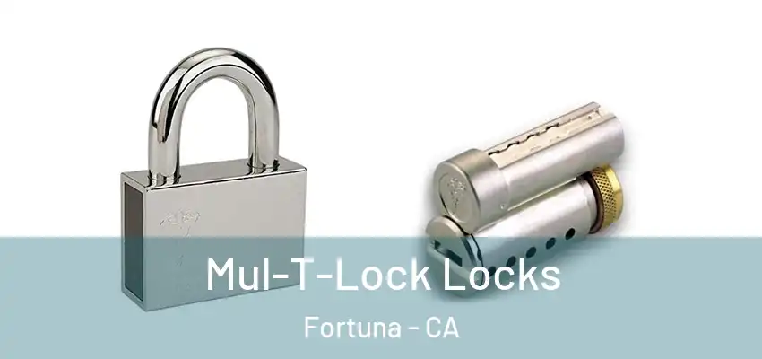  Mul-T-Lock Locks Fortuna - CA