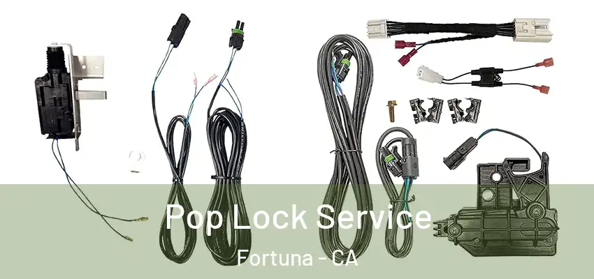 Pop Lock Service Fortuna - CA
