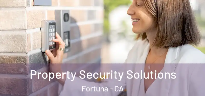  Property Security Solutions Fortuna - CA